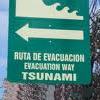 Aardbeving, tsunami en gevolgen